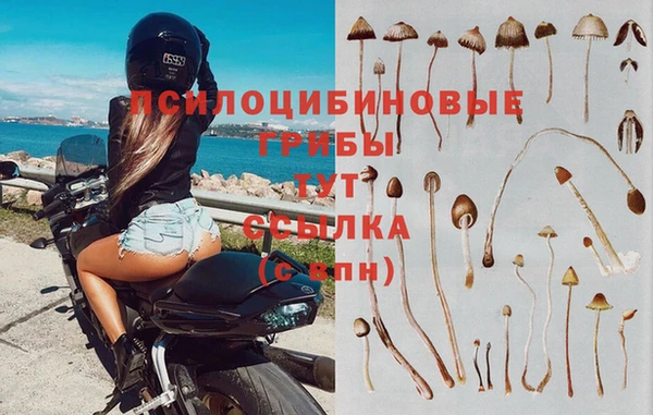 герыч Магас