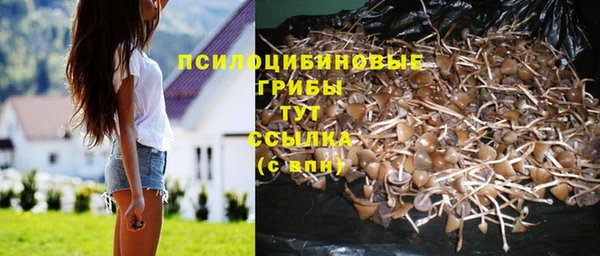 герыч Магас