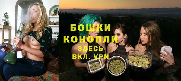 гидра Волгодонск