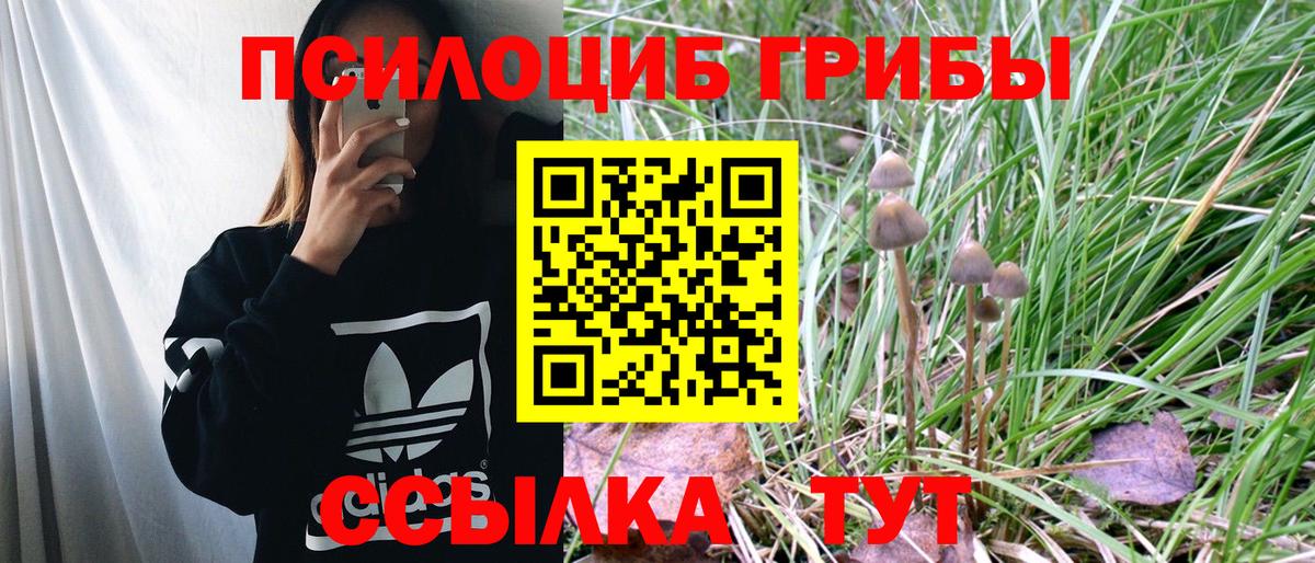 Галлюциногенные грибы Psilocybe Донецк