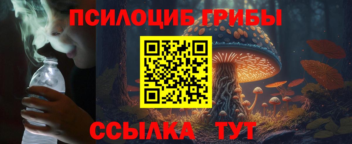 Псилоцибиновые грибы Cubensis  Галлюциногенные грибы Psilocybe  Вход с VPN  Донецк 